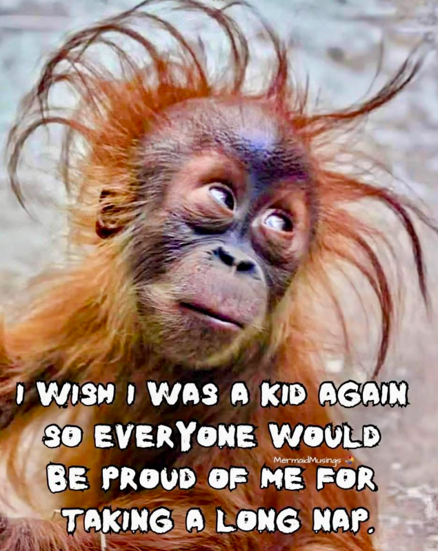 I WISH I WAS A KID AGAIN 30 EVERYONE WOULD MermaidMusings BE PROUD OF ME FOR TAKING A LONG NAP