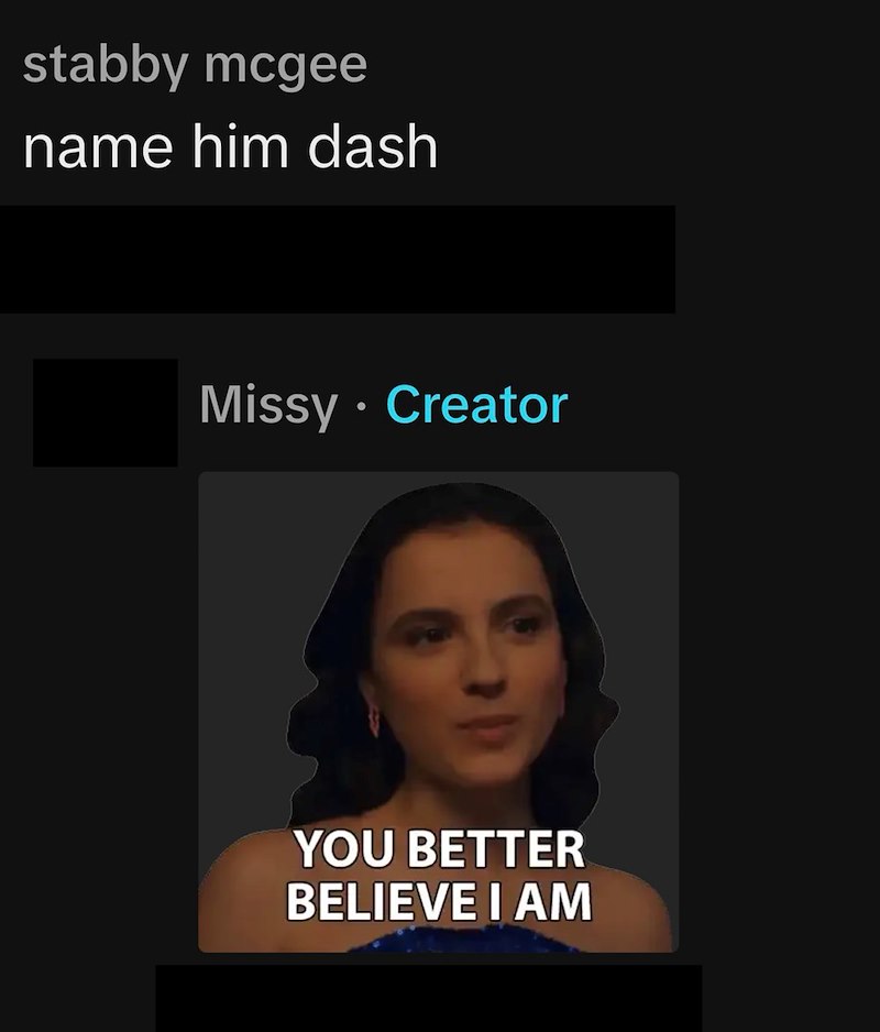 stabby mcgee name him dash Missy • Creator YOU BETTER BELIEVE I AM