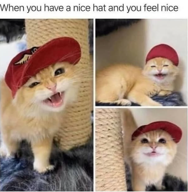 When you have a nice hat and you feel nice