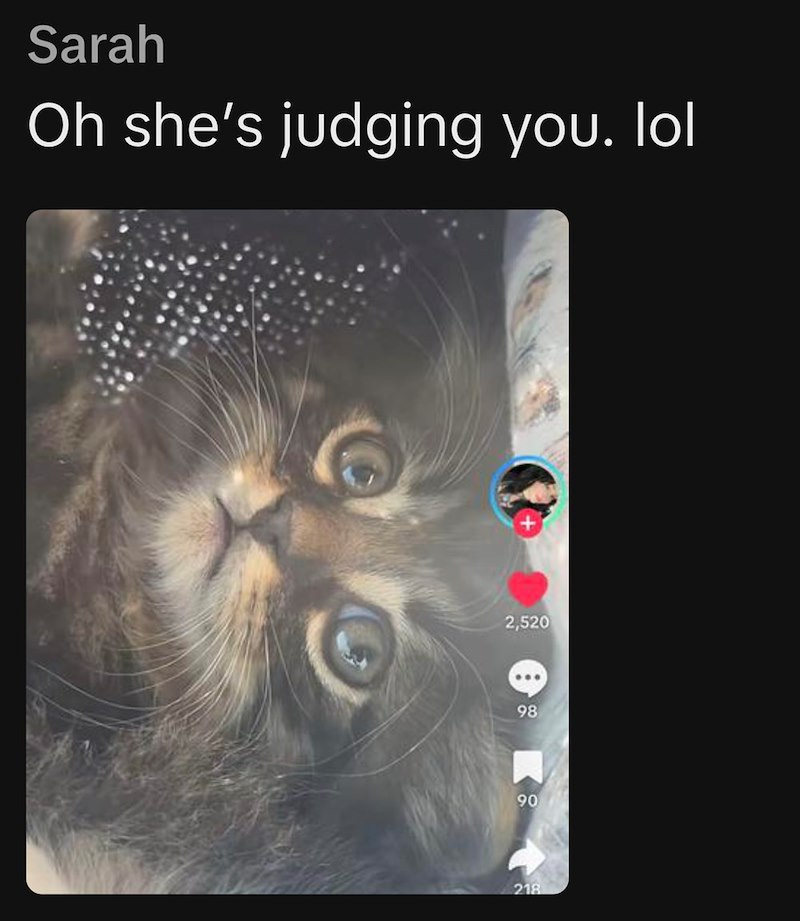 Sarah Oh she's judging you. lol 2,520 98 90 218