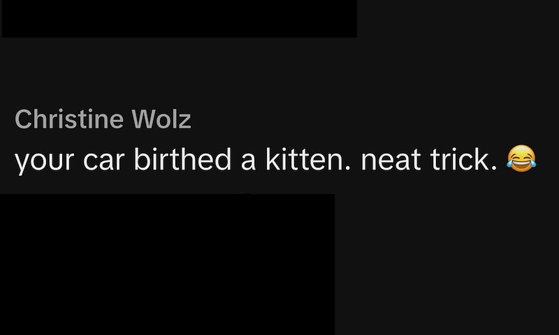 Christine Wolz your car birthed a kitten. neat trick.