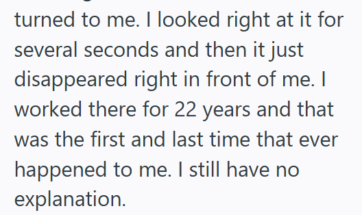 turned to me. I looked right at it for several seconds and then it just disappeared right in front of me. I worked there for 22 years and that was the first and last time that ever happened to me. I still have no explanation.