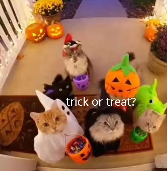 trick or treat?