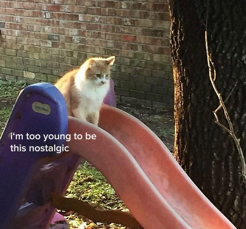 i'm too young to be this nostalgic