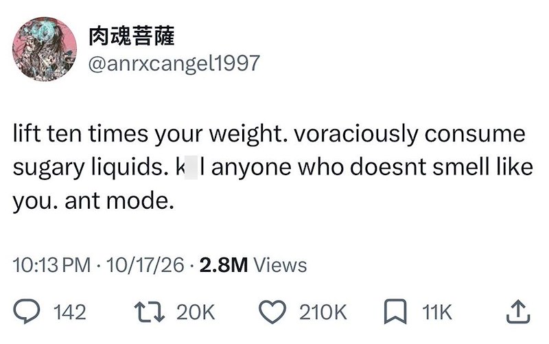 肉魂菩薩 @anrxcangel1997 lift ten times your weight. voraciously consume sugary liquids. k I anyone who doesnt smell like you. ant mode. 10:13 PM 10/17/26 2.8M Views • 142 1 20K 210K 11K