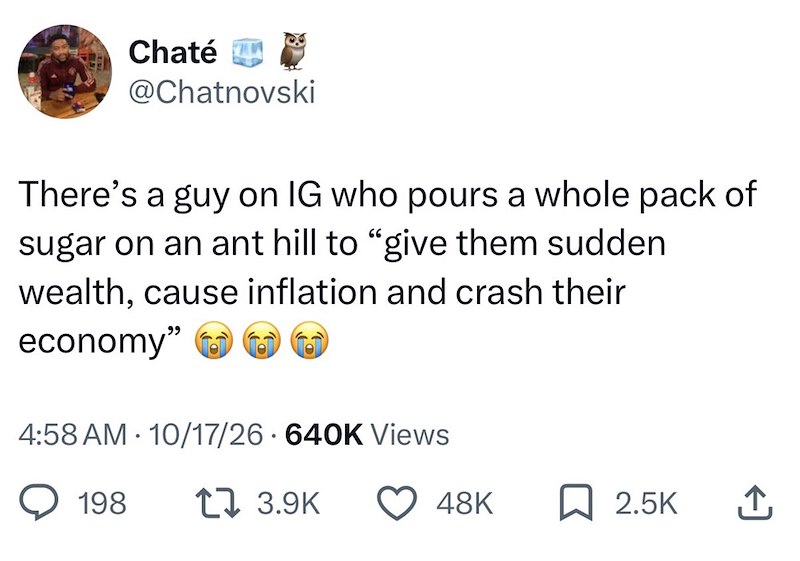 Chaté @Chatnovski There's a guy on IG who pours a whole pack of sugar on an ant hill to "give them sudden wealth, cause inflation and crash their economy" • 4:58 AM 10/17/26 - 640K Views 198 13.9K 48K ☐ 2.5K ↑