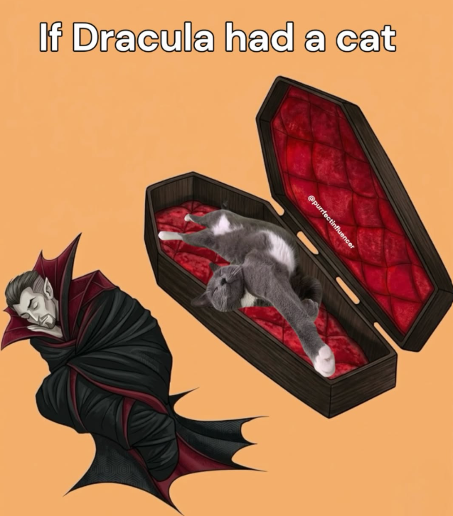 If Dracula had a cat @purrfectinfluencer