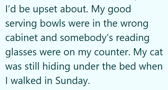 I'd be upset about. My good serving bowls were in the wrong cabinet and somebody's reading glasses were on my counter. My cat was still hiding under the bed when I walked in Sunday.