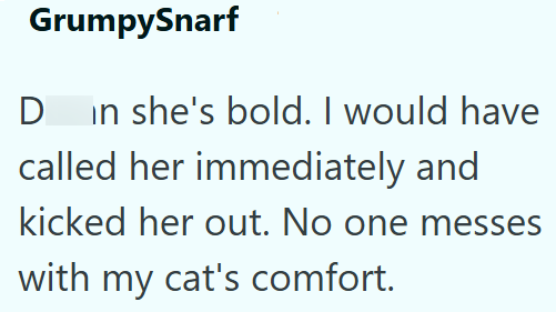 GrumpySnarf D in she's bold. I would have called her immediately and kicked her out. No one messes with my cat's comfort.
