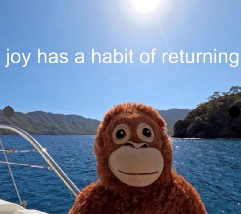 joy has a habit of returning