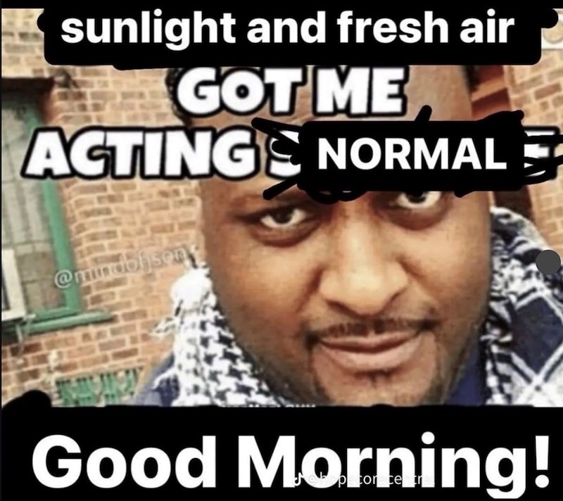 sunlight and fresh air GOT ME ACTINGS NORMAL @mindolson Good Morning!