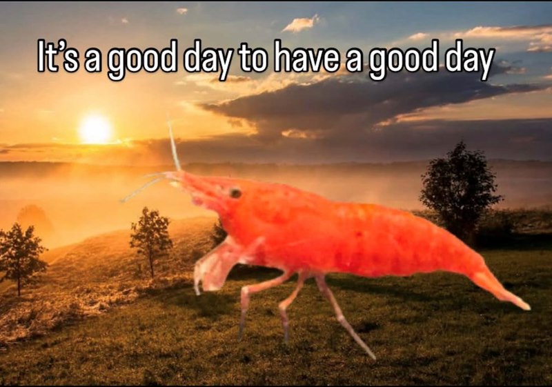 It's a good day to have a good day