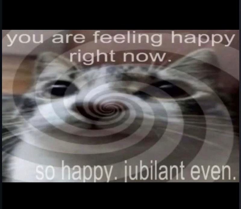you are feeling happy right now. so happy. jubilant even.