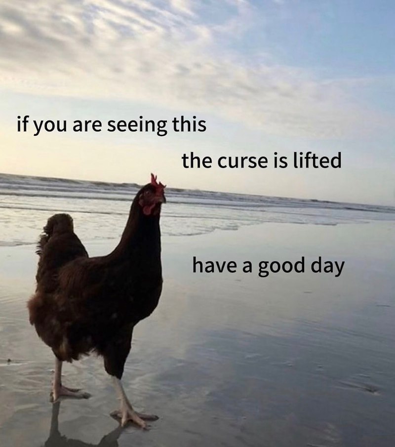 if you are seeing this the curse is lifted have a good day