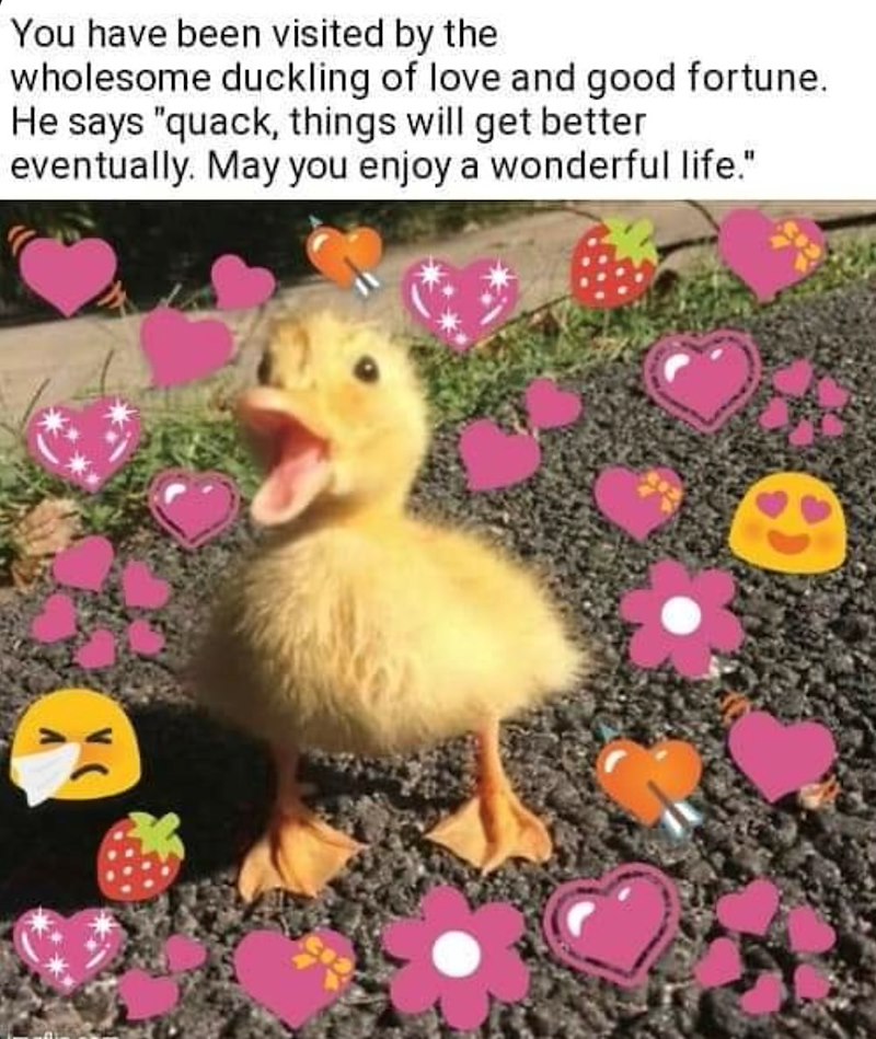 You have been visited by the wholesome duckling of love and good fortune. He says "quack, things will get better eventually. May you enjoy a wonderful life."