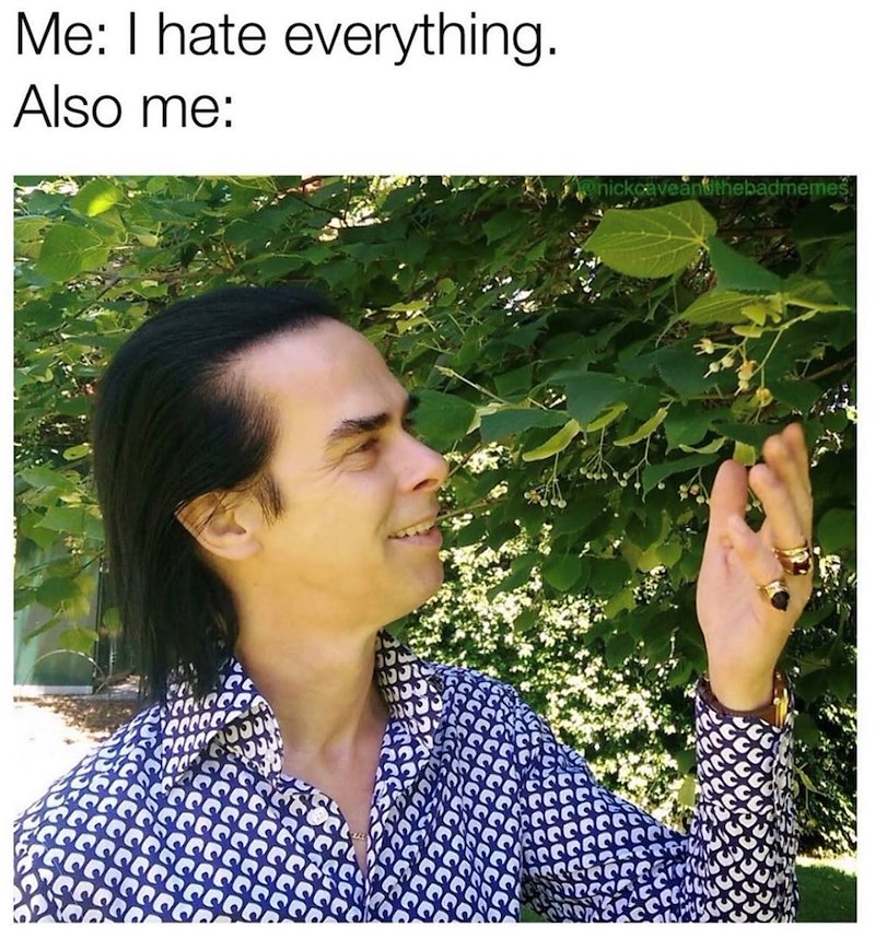 Me: I hate everything. Also me: nickcaveandthebadmemes