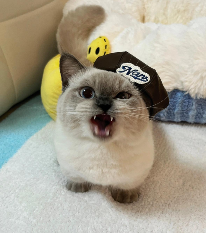 Nan