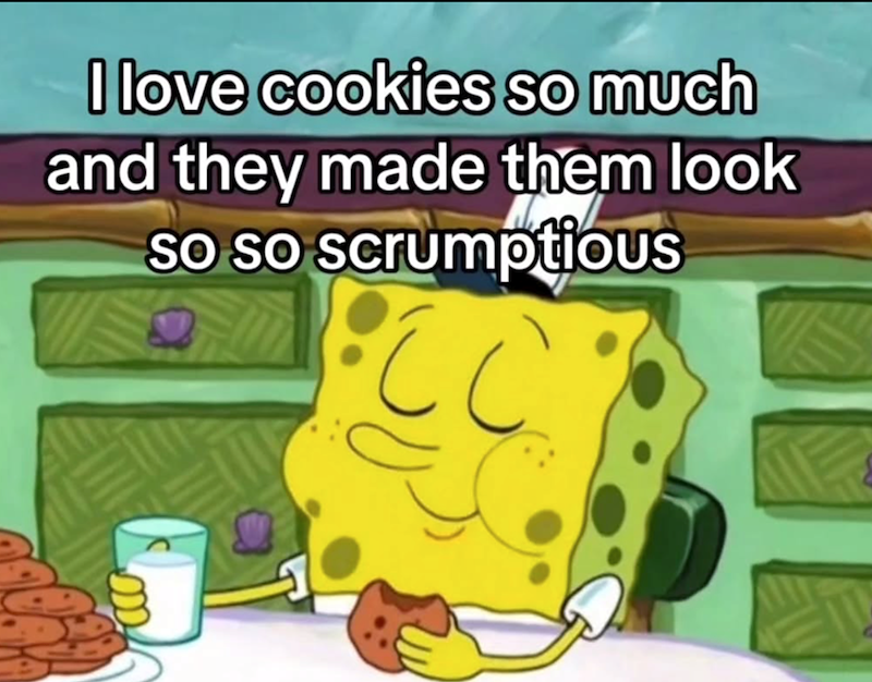 I love cookies so much and they made them look so so scrumptious