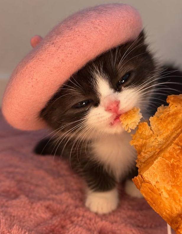 Cheezburger Image 10672934400