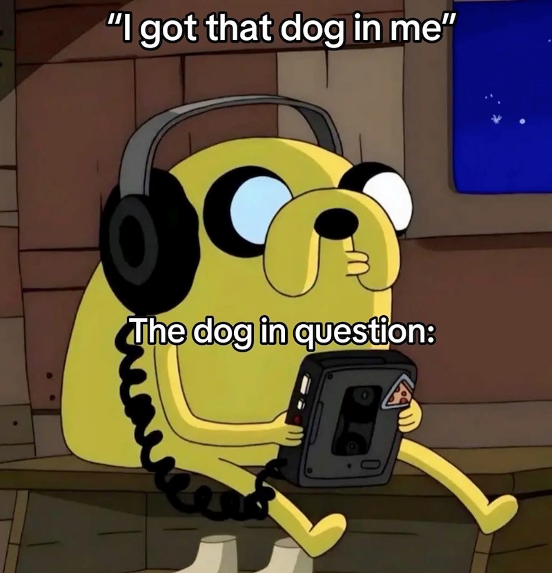 "I got that dog in me" The dog in question: