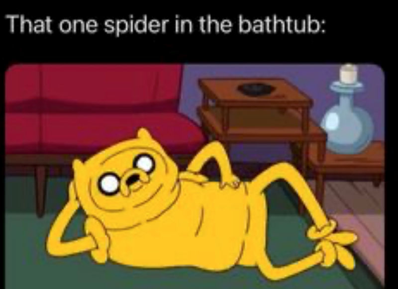 That one spider in the bathtub: