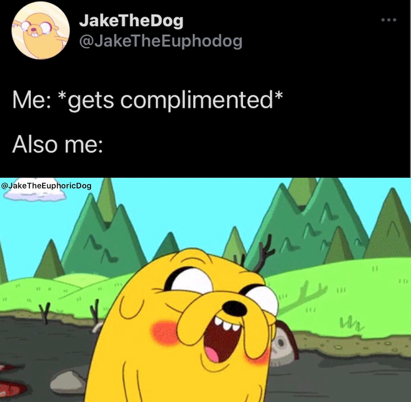 JakeTheDog @JakeTheEuphodog Me: *gets complimented* Also me: @JakeTheEuphoric Dog " 141 111 W "