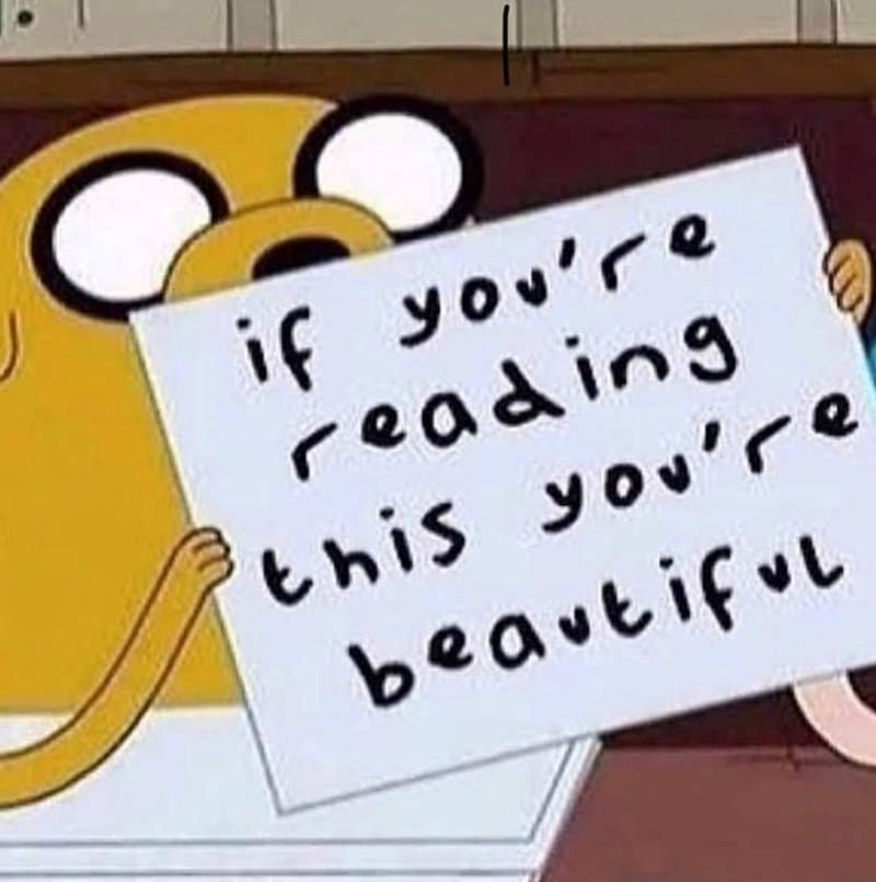 if you're reading this you're beautiful