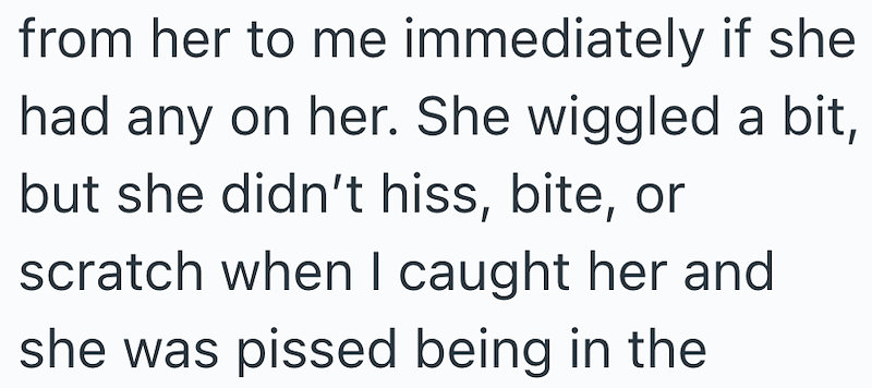 from her to me immediately if she had any on her. She wiggled a bit, but she didn't hiss, bite, or scratch when I caught her and she was pissed being in the