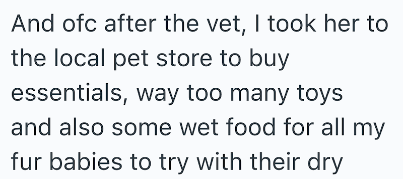 And ofc after the vet, I took her to the local pet store to buy essentials, way too many toys and also some wet food for all my fur babies to try with their dry