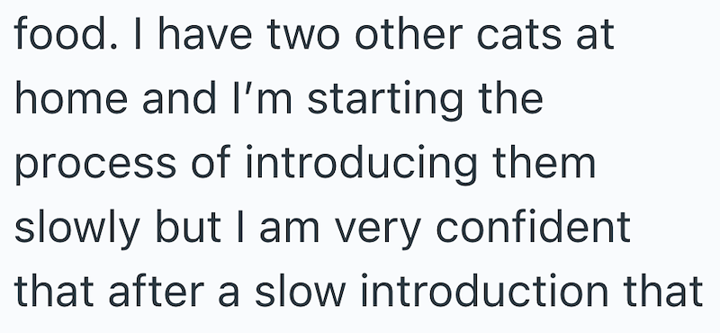 food. I have two other cats at home and I'm starting the process of introducing them slowly but I am very confident that after a slow introduction that