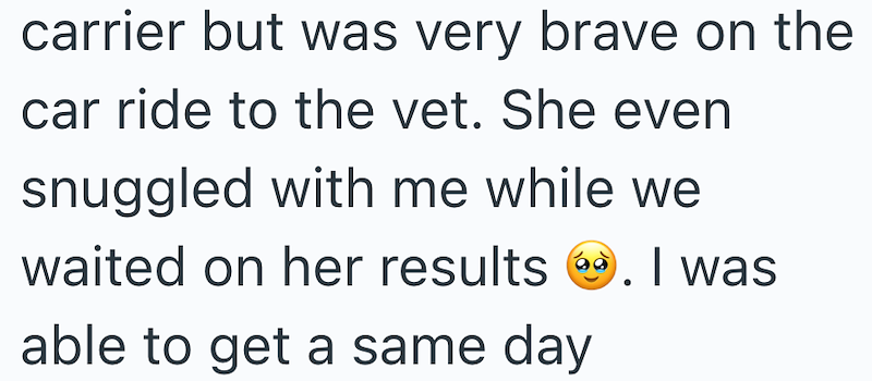 carrier but was very brave on the car ride to the vet. She even snuggled with me while we waited on her results. I was able to get a same day