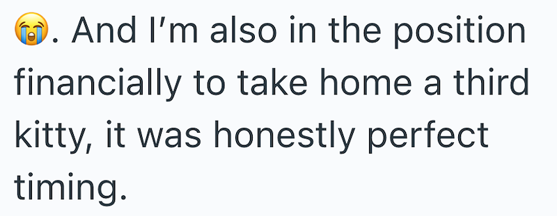 And I'm also in the position. financially to take home a third kitty, it was honestly perfect timing.