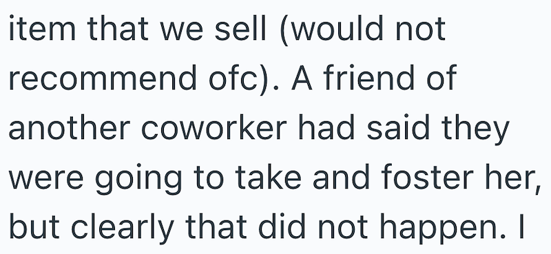 item that we sell (would not recommend ofc). A friend of another coworker had said they were going to take and foster her, but clearly that did not happen. I