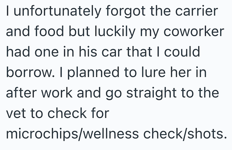 I unfortunately forgot the carrier and food but luckily my coworker had one in his car that I could borrow. I planned to lure her in after work and go straight to the vet to check for microchips/wellness check/shots.