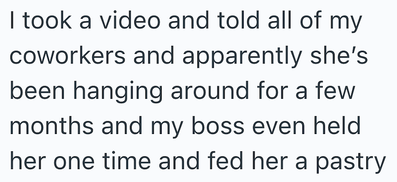 I took a video and told all of my coworkers and apparently she's been hanging around for a few months and my boss even held her one time and fed her a pastry