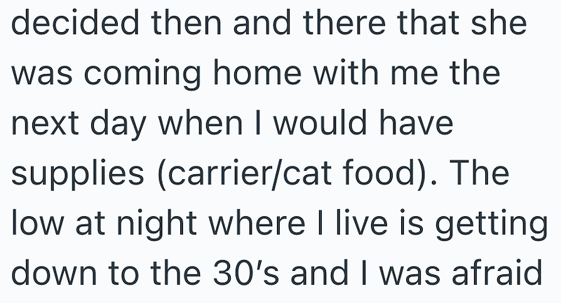 decided then and there that she was coming home with me the next day when I would have supplies (carrier/cat food). The low at night where I live is getting down to the 30's and I was afraid