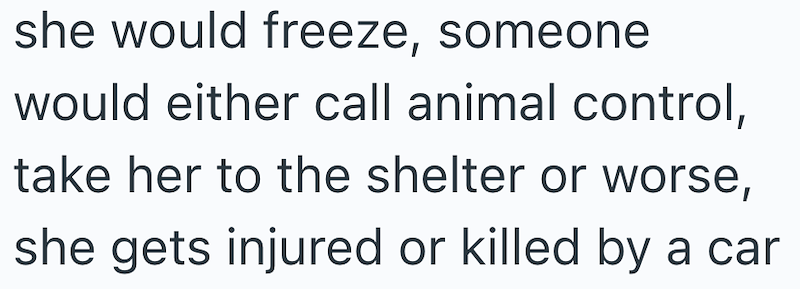 she would freeze, someone would either call animal control, take her to the shelter or worse, she gets injured or killed by a car