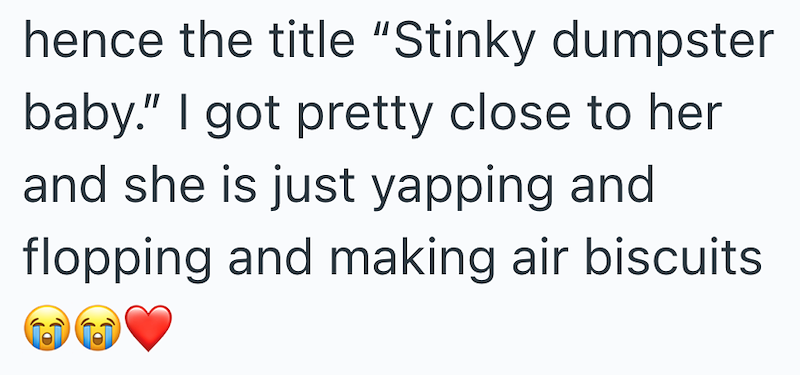 hence the title "Stinky dumpster baby." I got pretty close to her and she is just yapping and flopping and making air biscuits