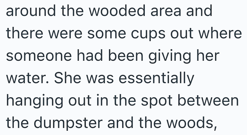 around the wooded area and there were some cups out where someone had been giving her water. She was essentially hanging out in the spot between the dumpster and the woods,