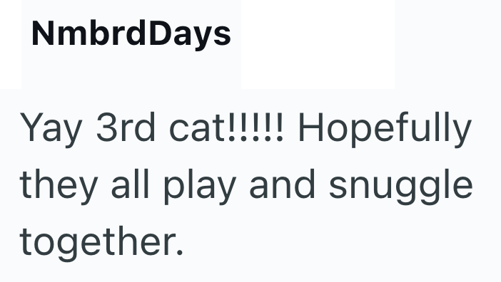 NmbrdDays Yay 3rd cat!!!!! Hopefully they all play and snuggle together.