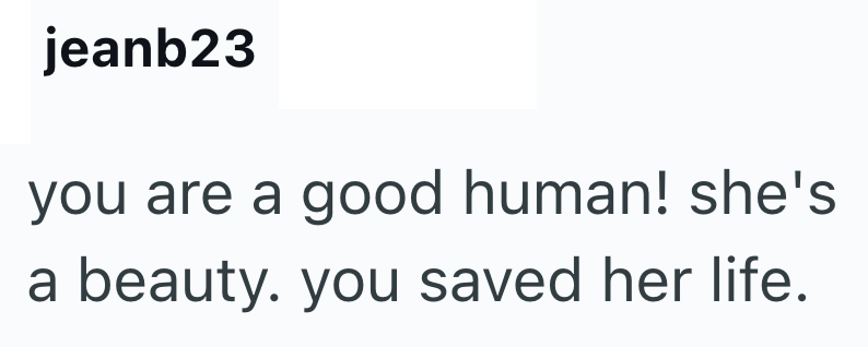jeanb23 you are a good human! she's a beauty. you saved her life.