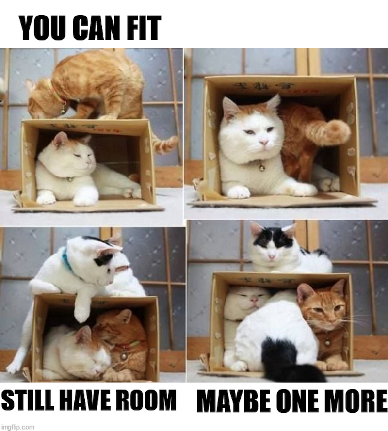 YOU CAN FIT 724 STILL HAVE ROOM MAYBE ONE MORE imgflip.com