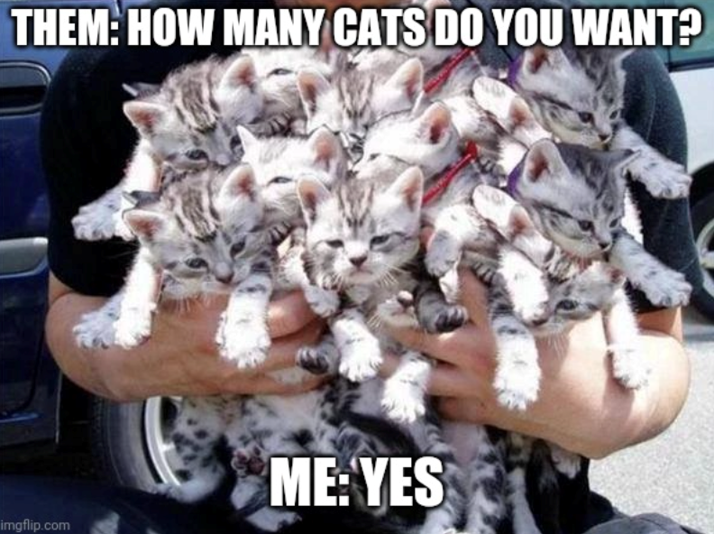 THEM: HOW MANY CATS DO YOU WANT? imgflip.com ME: YES