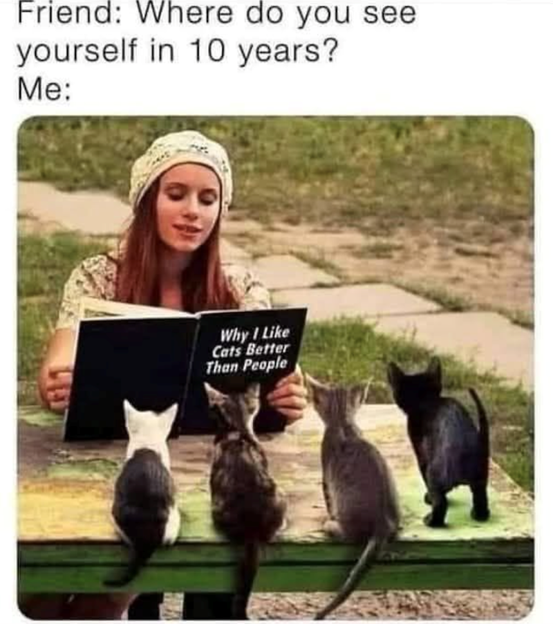 Friend: Where do you see yourself in 10 years? Me: Why I Like Cats Better Than People
