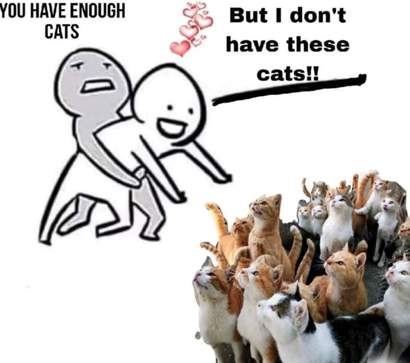 YOU HAVE ENOUGH CATS But I don't have these cats!! ·D