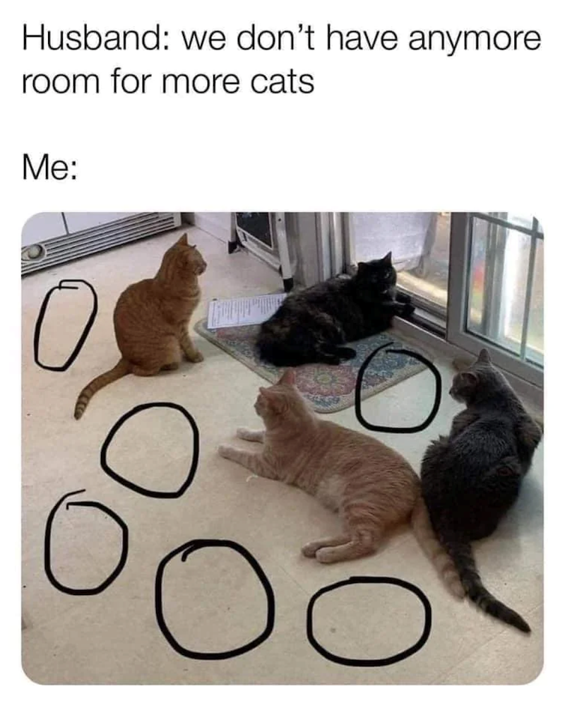 Husband: we don't have anymore room for more cats Me: 0