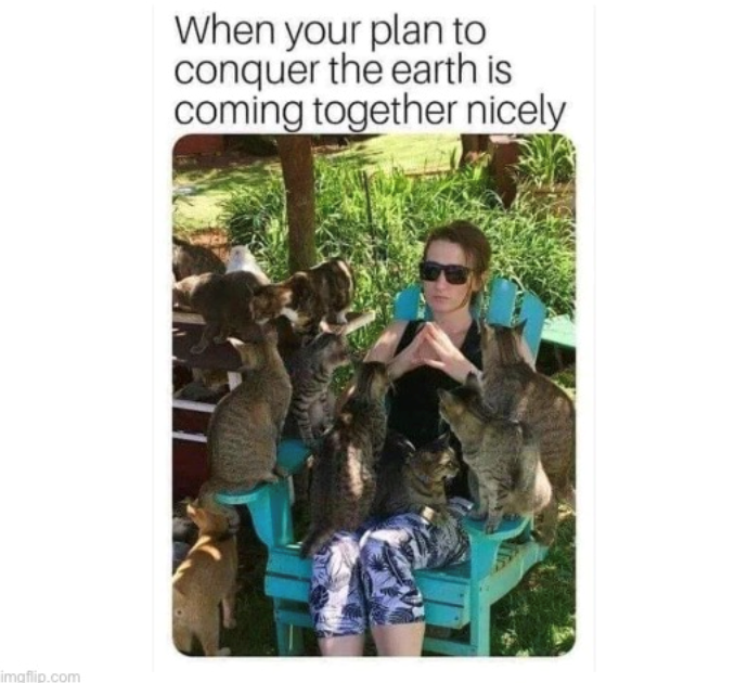 imgflip.com When your plan to conquer the earth is coming together nicely