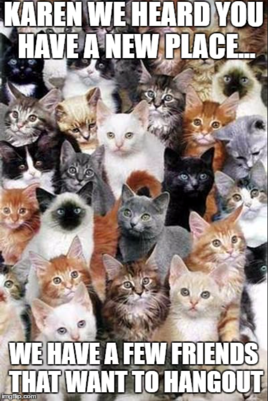 KAREN WE HEARD YOU HAVE A NEW PLACE... WE HAVE A FEW FRIENDS THAT WANT TO HANGOUT imgflip.com