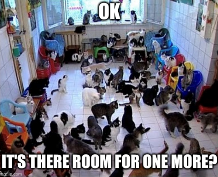 OK IT'S THERE ROOM FOR ONE MORE? mgflip.com