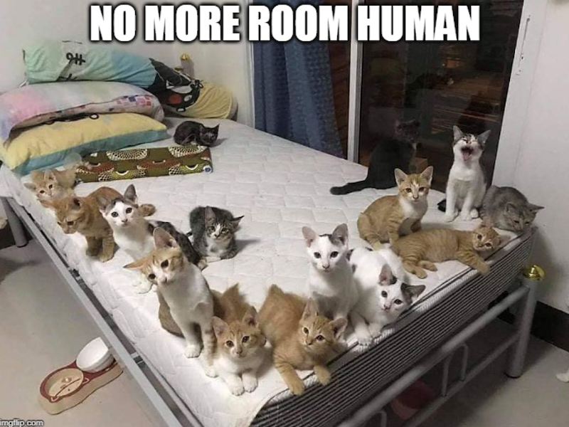 imgflip.com H+6 NO MORE ROOM HUMAN